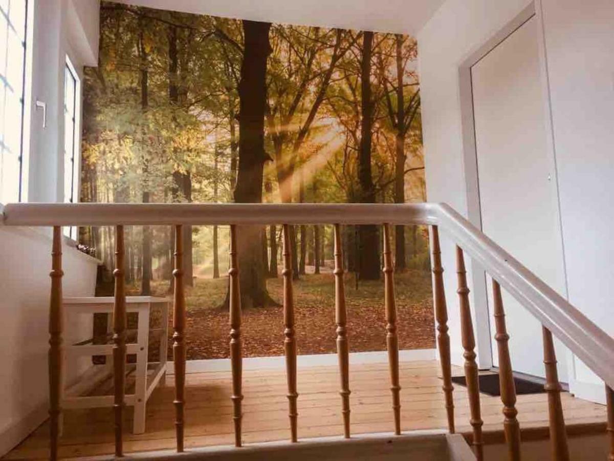 Fewo Waldblick Meschede Exterior photo
